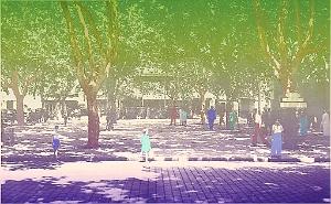 Tlemcen  05